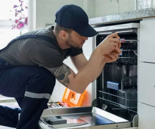 Dishwasher Repair